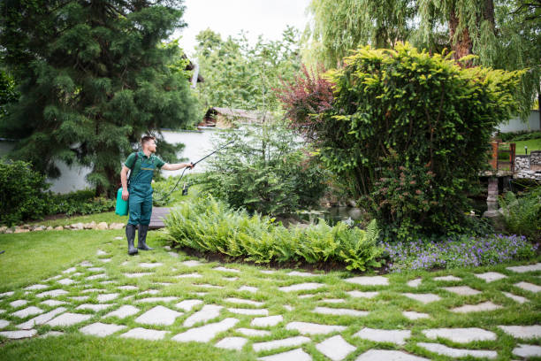 Best Residential Pest Control  in Sabetha, KS