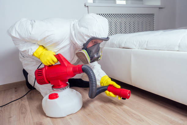 Best Flea Control Services  in Sabetha, KS