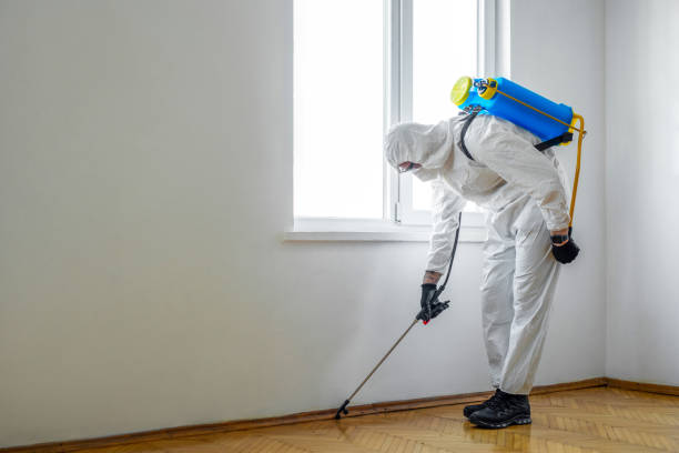Best Termite Control Services  in Sabetha, KS