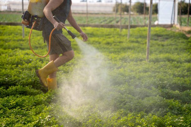 Best Commercial Pest Control Services  in Sabetha, KS