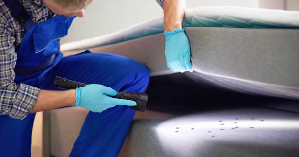 Best Bed Bug Extermination  in Sabetha, KS