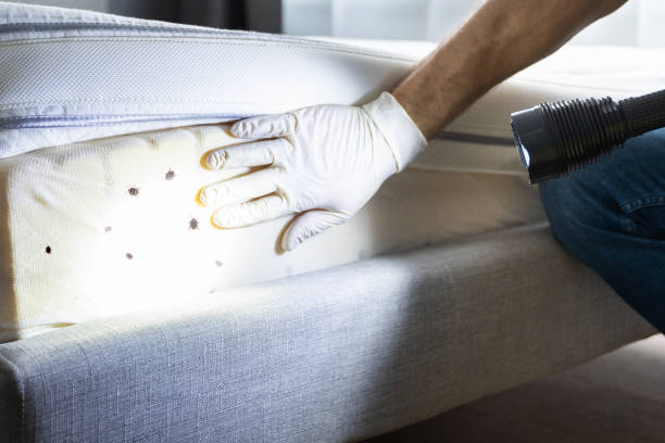 Best Pest Control Near Me  in Sabetha, KS