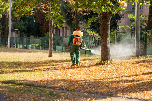 Best Pest Removal Services  in Sabetha, KS