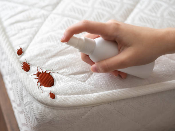 Best Cockroach Control Services  in Sabetha, KS