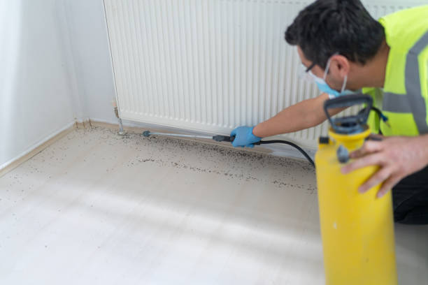 Best Mosquito Control Services  in Sabetha, KS