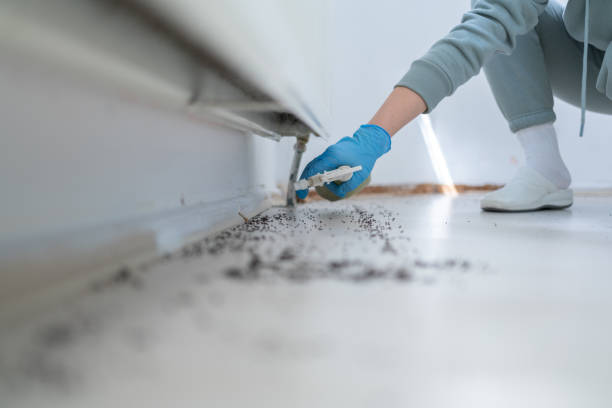 Best Affordable Pest Control Services  in Sabetha, KS