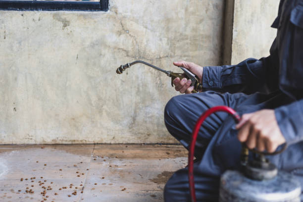 Pest Prevention Services in Sabetha, KS