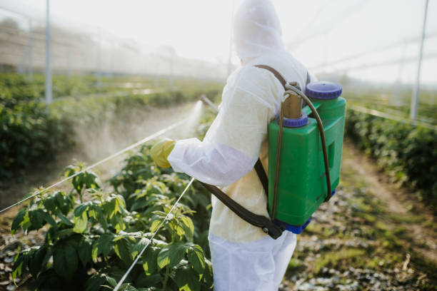 Best Affordable Pest Control Services  in Sabetha, KS